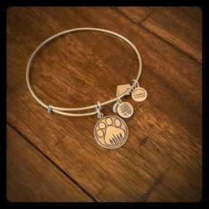 Alex & Ani Bangle